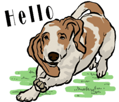 Basset hound 10(dog) sticker #12277614