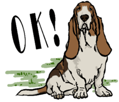 Basset hound 10(dog) sticker #12277615
