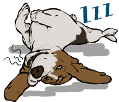 Basset hound 10(dog) sticker #12277618