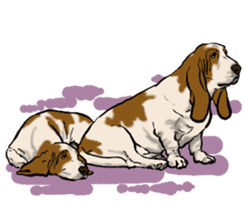 Basset hound 10(dog) sticker #12277620