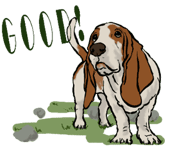 Basset hound 10(dog) sticker #12277621