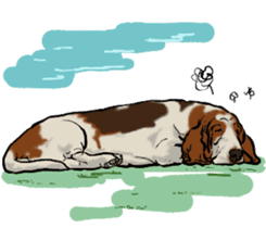 Basset hound 10(dog) sticker #12277625
