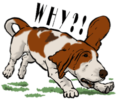 Basset hound 10(dog) sticker #12277629