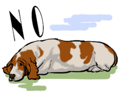 Basset hound 10(dog) sticker #12277630