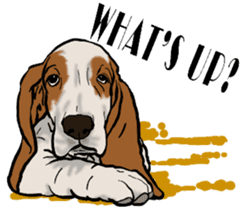 Basset hound 10(dog) sticker #12277638