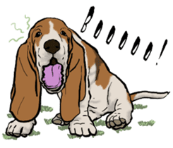 Basset hound 10(dog) sticker #12277643