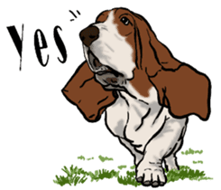Basset hound 10(dog) sticker #12277645