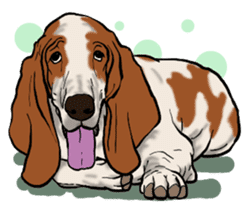 Basset hound 10(dog) sticker #12277651