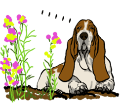 Basset hound 10(dog) sticker #12277653