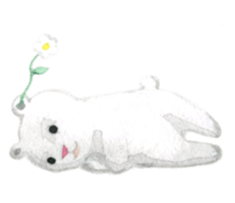 white and brown bear sticker #12277655