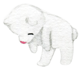 white and brown bear sticker #12277678