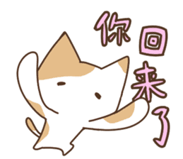 Taiwan's cute cats sticker #12278351
