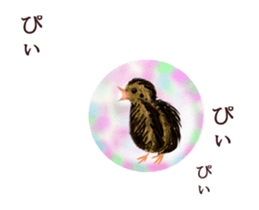 Little birds ball sticker #12278906