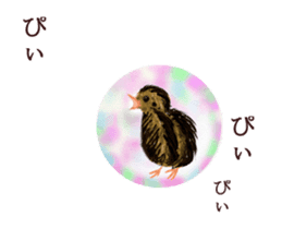 Little birds ball sticker #12278906