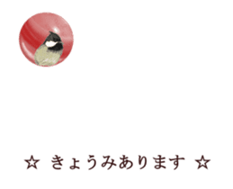 Little birds ball sticker #12278908