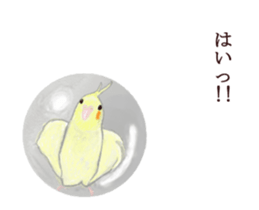 Little birds ball sticker #12278910