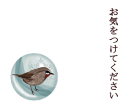 Little birds ball sticker #12278912