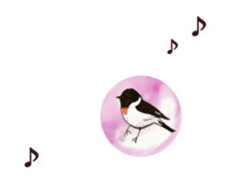 Little birds ball sticker #12278915