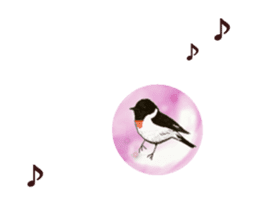 Little birds ball sticker #12278915