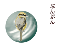 Little birds ball sticker #12278920