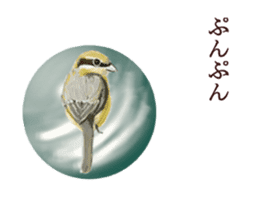 Little birds ball sticker #12278920