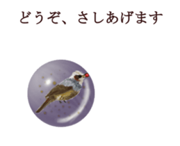 Little birds ball sticker #12278921