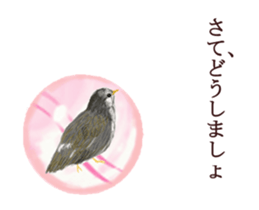 Little birds ball sticker #12278922