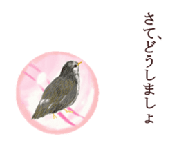 Little birds ball sticker #12278922