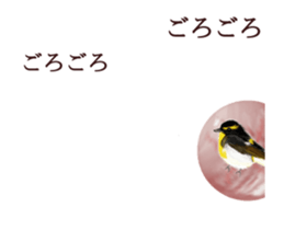 Little birds ball sticker #12278923