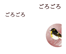 Little birds ball sticker #12278923