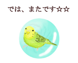 Little birds ball sticker #12278924