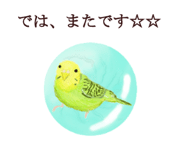 Little birds ball sticker #12278924