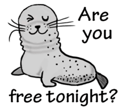40 of the harbor seal countenance sticker #12279632