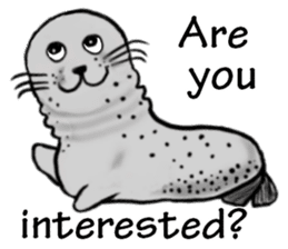 40 of the harbor seal countenance sticker #12279633