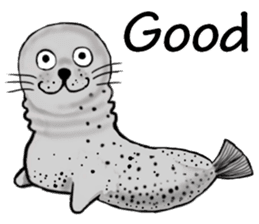 40 of the harbor seal countenance sticker #12279638