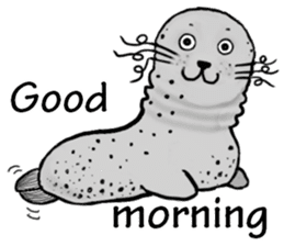 40 of the harbor seal countenance sticker #12279639