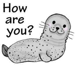 40 of the harbor seal countenance sticker #12279641