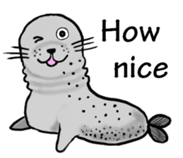 40 of the harbor seal countenance sticker #12279642