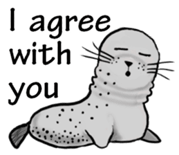 40 of the harbor seal countenance sticker #12279643