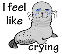 40 of the harbor seal countenance sticker #12279644