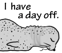 40 of the harbor seal countenance sticker #12279645