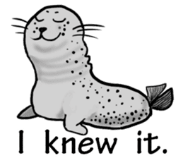 40 of the harbor seal countenance sticker #12279646