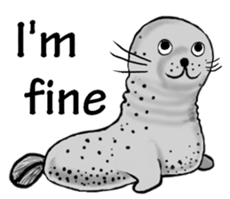 40 of the harbor seal countenance sticker #12279650