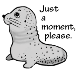 40 of the harbor seal countenance sticker #12279652