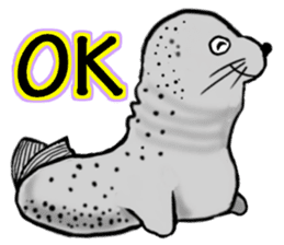 40 of the harbor seal countenance sticker #12279656