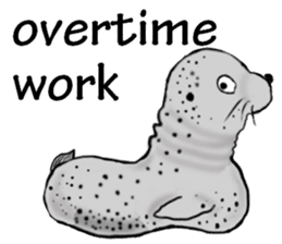 40 of the harbor seal countenance sticker #12279657