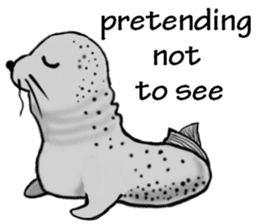 40 of the harbor seal countenance sticker #12279658