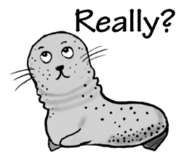 40 of the harbor seal countenance sticker #12279659