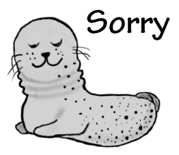 40 of the harbor seal countenance sticker #12279660