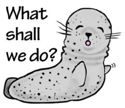 40 of the harbor seal countenance sticker #12279664